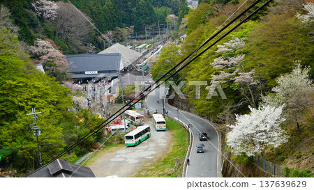 Yoshinoyama Sakura Nara Yoshinoyama Sakura Nara 137639629