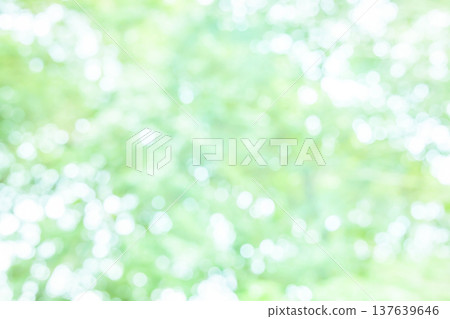 模糊的綠色背景 模糊的綠色背景 137639646