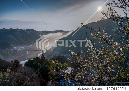Beautiful sea of clouds and plum blossoms illuminated by the rising sun from the morning sky at Tsukigase Baikei ④ Beautiful sea of clouds and plum blossoms illuminated by the rising sun from the morning sky at Tsukigase Baikei ④ 137639654