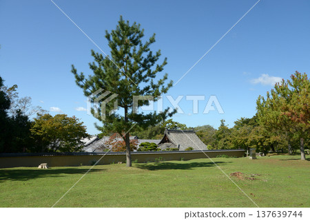 奈良市雜子町東大寺本堂 137639744