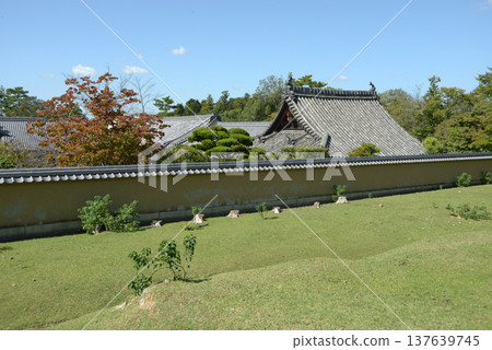 奈良市雜子町東大寺本堂 奈良市雜子町東大寺本堂 137639745