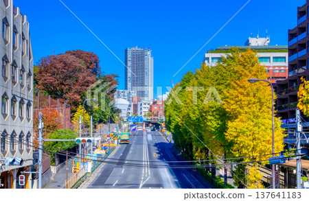 東京的秋天，明治大街，學習院大學下方 137641183