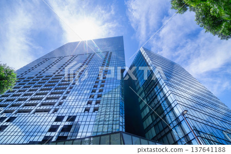 Skyscrapers and sunlight 137641188