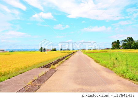 Autumn countryside Autumn countryside 137641432