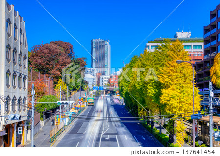 東京的秋天,明治大街,學習院大學下方 東京的秋天,明治大街,學習院大學下方 137641454