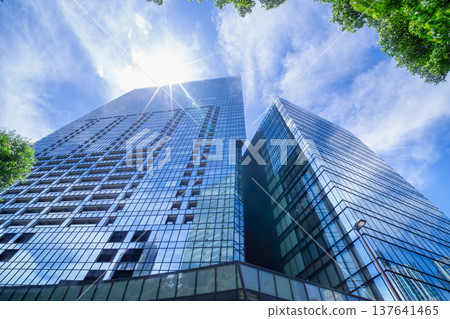 Skyscrapers and sunlight 137641465