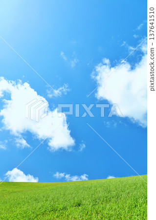 清爽的夏日藍天和清新的綠色草甸景觀 清爽的夏日藍天和清新的綠色草甸景觀 137641510