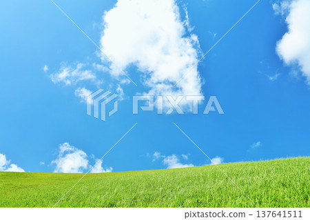 清爽的夏日藍天和清新的綠色草甸景觀 清爽的夏日藍天和清新的綠色草甸景觀 137641511