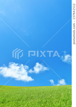 清爽的夏日藍天和清新的綠色草甸景觀 清爽的夏日藍天和清新的綠色草甸景觀 137641512