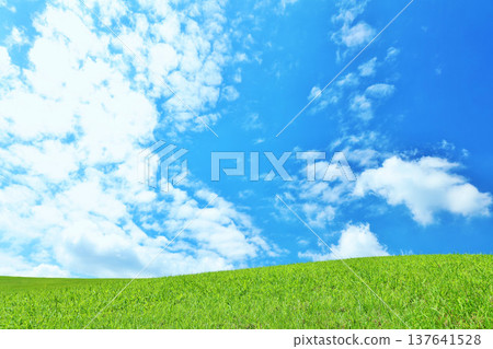 Refreshing summer blue sky and fresh green meadow landscape 137641528