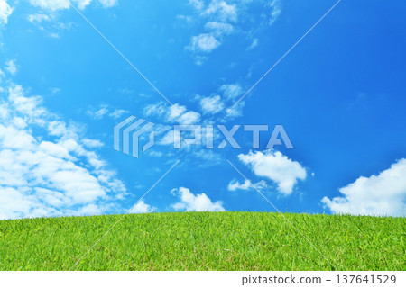 Refreshing summer blue sky and fresh green meadow landscape 137641529