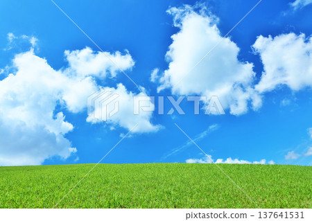清爽的夏日藍天和清新的綠色草甸景觀 清爽的夏日藍天和清新的綠色草甸景觀 137641531