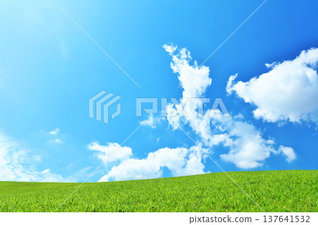 Refreshing summer blue sky and fresh green meadow landscape 137641532