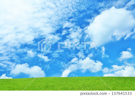Refreshing summer blue sky and fresh green meadow landscape Refreshing summer blue sky and fresh green meadow landscape 137641533