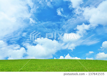 Refreshing summer blue sky and fresh green meadow landscape Refreshing summer blue sky and fresh green meadow landscape 137641535