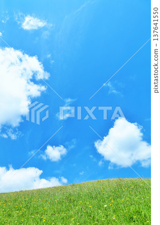 Refreshing summer blue sky and fresh green meadow landscape Refreshing summer blue sky and fresh green meadow landscape 137641550