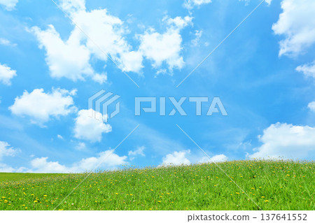 Refreshing summer blue sky and fresh green meadow landscape Refreshing summer blue sky and fresh green meadow landscape 137641552