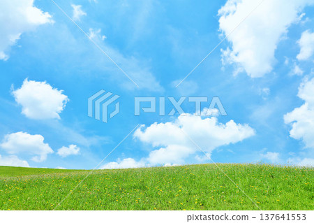 Refreshing summer blue sky and fresh green meadow landscape Refreshing summer blue sky and fresh green meadow landscape 137641553