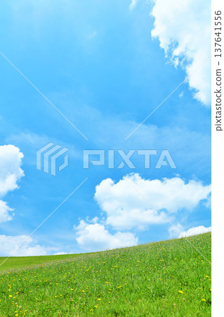 Refreshing summer blue sky and fresh green meadow landscape Refreshing summer blue sky and fresh green meadow landscape 137641556