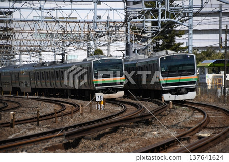 東海道沿途風光 137641624