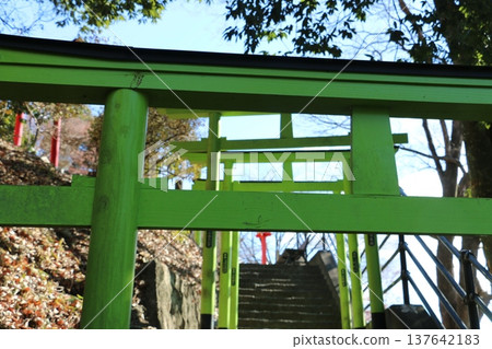 足利織姬神社,七彩鳥居迎接訪客。 足利織姬神社,七彩鳥居迎接訪客。 137642183