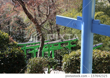 足利織姬神社，迎接您的是七彩鳥居。 137642325