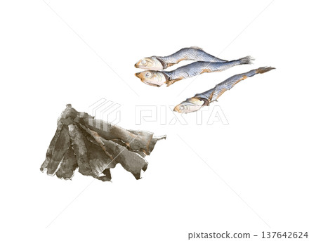Illustration of dried sardines and kelp for making broth 137642624