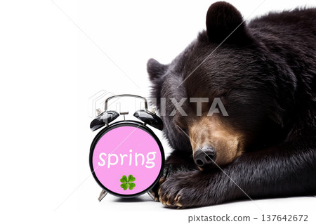 春天，一隻即將從冬眠中醒來的熊 137642672