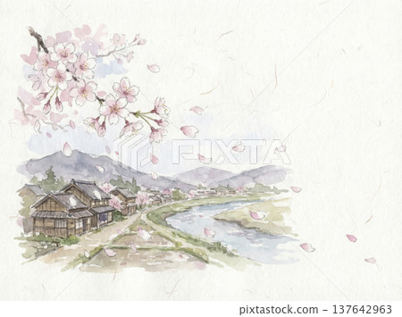 Watercolor painting, hand-painted, cherry blossoms 137642963