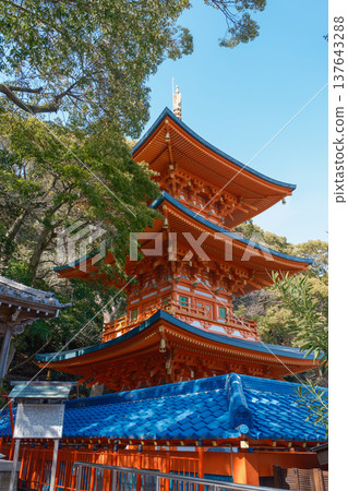 神戶/須磨地/三重塔 神戶/須磨地/三重塔 137643288
