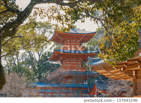 神戶/須磨地/三重塔 神戶/須磨地/三重塔 137643296