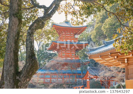 神戶/須磨地/三重塔 137643297