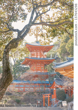 神戶/須磨地/三重塔 神戶/須磨地/三重塔 137643298