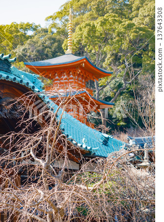神戶,須摩寺:從屋頂眺望三層寶塔 神戶,須摩寺:從屋頂眺望三層寶塔 137643308