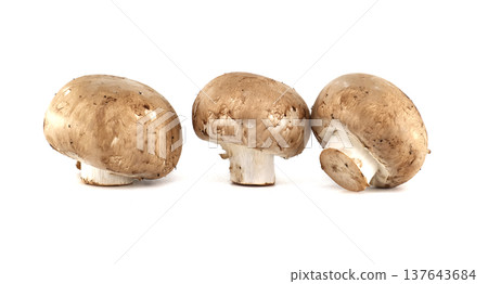 Three brown cremini mushrooms arranged in a row on a clean white background 137643684