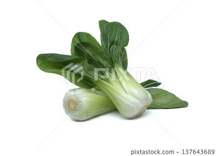 Two fresh bok choy vegetables with vibrant green leaves and pale stems on a white background Two fresh bok choy vegetables with vibrant green leaves and pale stems on a white background 137643689