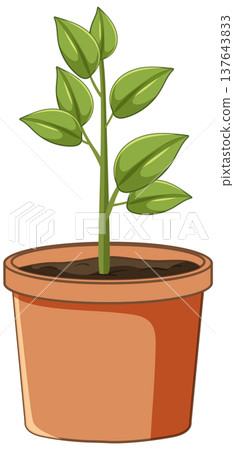 Young Green Plant Growing in Terracotta Pot Illustration Young Green Plant Growing in Terracotta Pot Illustration 137643833