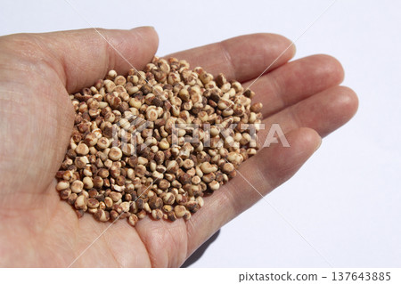 It is a sorghum that is placed in the hand.	 137643885