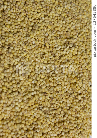 Close up of millet rice. Close up of millet rice. 137643886