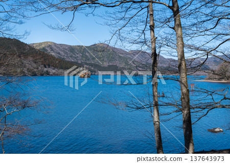 一條健行步道穿過阿什湖周圍寧靜的森林。 137643973