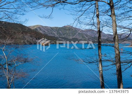 一條健行步道穿過阿什湖周圍寧靜的森林。 一條健行步道穿過阿什湖周圍寧靜的森林。 137643975