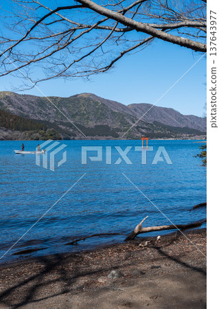 一條健行步道穿過阿什湖周圍寧靜的森林。 一條健行步道穿過阿什湖周圍寧靜的森林。 137643977