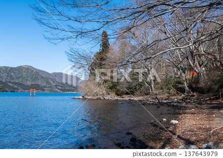 終極能量點：箱根九頭龍神社本殿內供奉龍神的神秘水下鳥居。 137643979