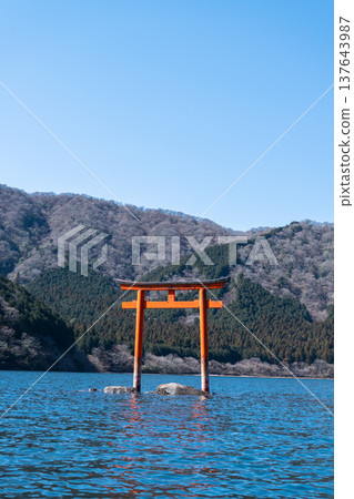 終極能量點:箱根九頭龍神社本殿內供奉龍神的神秘水下鳥居。 終極能量點:箱根九頭龍神社本殿內供奉龍神的神秘水下鳥居。 137643987