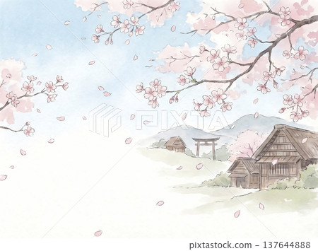 Watercolor painting: Blue sky and cherry blossoms 137644888
