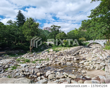 This is the valley scenery of Seoraksan Mountain in Korea. This is the valley scenery of Seoraksan Mountain in Korea. 137645204