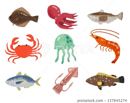 一套水彩風格的海洋生物插畫 137645274