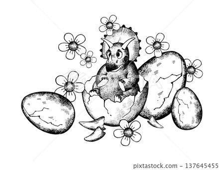 A cute triceratops hatched from its egg in a nest A cute triceratops hatched from its egg in a nest 137645455