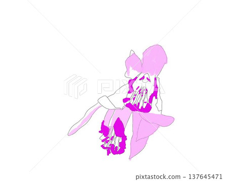 Purple flower, Bletilla striata (Shiran) Purple flower, Bletilla striata (Shiran) 137645471