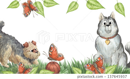 A watercolor frame featuring a cute husky and a curly terrier playing ball on the lawn A watercolor frame featuring a cute husky and a curly terrier playing ball on the lawn 137645937